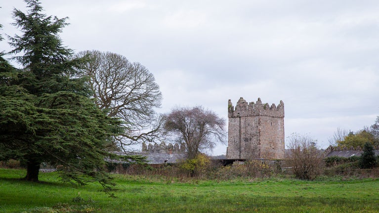 View of the wintery garden with the Clock Tower in the background at Castle Ward, County Down